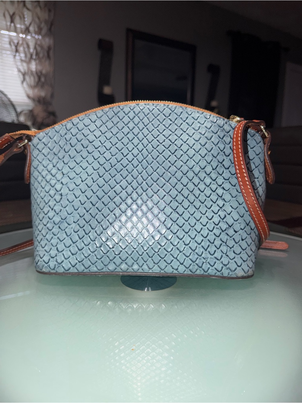 Dooney & Bourke Light Blue Textured Crossbody with Brown Trim - Picture 2 of 9